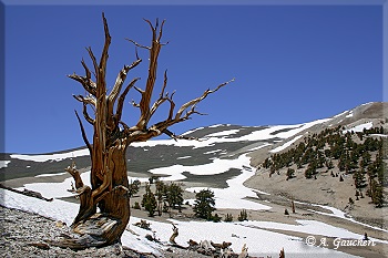 Landschaftsbild